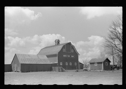 Farm, Grundy County, Iowa