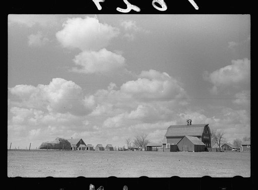 Untitled photo, possibly related to: Farm, Grundy County, Iowa