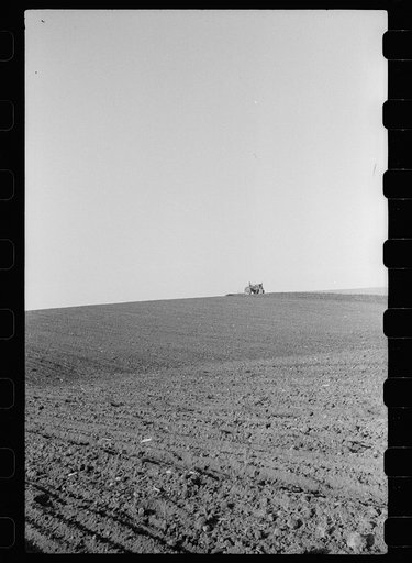Untitled photo, possibly related to: Corn planting wire held taut over a slope in the land. The planter drops corn at the buttons which are three and one-half feet apart. Jasper County, Iowa