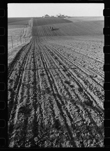 Corn planting. Jasper County, Iowa