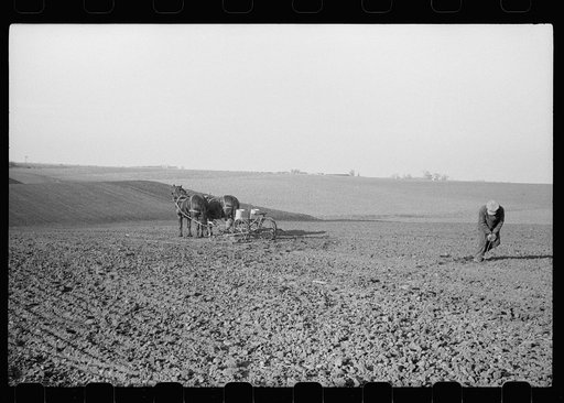 Untitled photo, possibly related to: Oiling planter preparatory to corn planting, Jasper County, Iowa