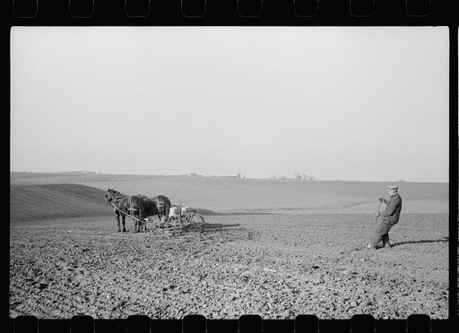 Untitled photo, possibly related to: Oiling planter preparatory to corn planting, Jasper County, Iowa