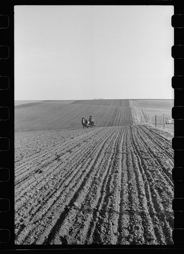 Untitled photo, possibly related to: Oiling planter preparatory to corn planting, Jasper County, Iowa
