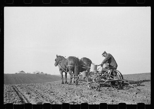Untitled photo, possibly related to: Checking amount of corn dropped by planter in each hill, Jasper County, Iowa
