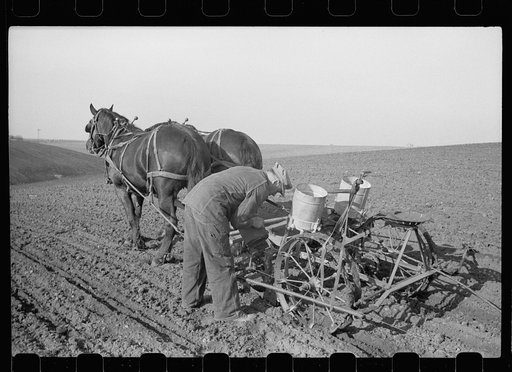 Untitled photo, possibly related to: Checking amount of corn dropped by planter in each hill, Jasper County, Iowa