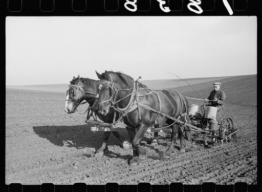Corn planting, Jasper County, Iowa