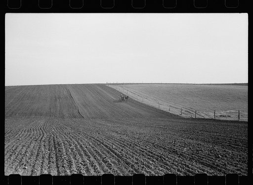 Untitled photo, possibly related to: Checking amount of corn dropped by planter in each hill, Jasper County, Iowa