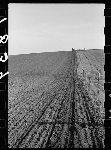 Untitled photo, possibly related to: Corn planting, Jasper County, Iowa