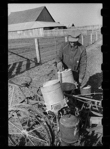 Untitled photo, possibly related to: Checking the corn in hills, Jasper County, Iowa