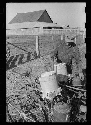 Untitled photo, possibly related to: Checking the corn in hills, Jasper County, Iowa