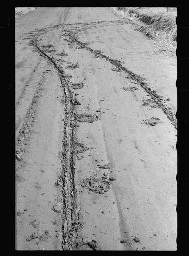 Horse and wagon tracks on muddy road, Harrison County, Iowa