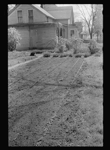 Backyard garden, Grundy Center, Iowa