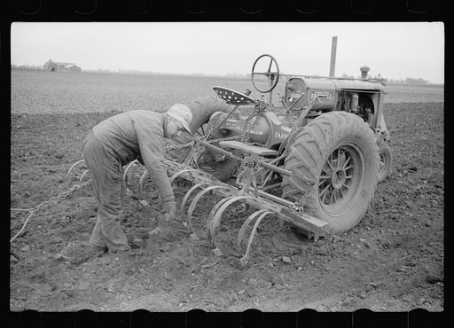 Cleaning off teeth of harrow, Jasper County, Iowa