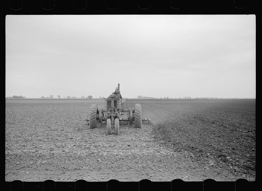 Untitled photo, possibly related to: Cleaning off teeth of harrow, Jasper County, Iowa