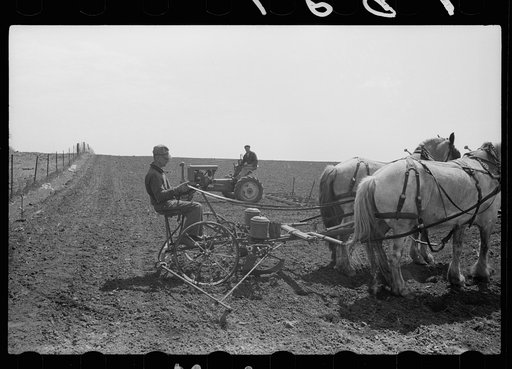Harrowing land and planting corn, Jasper County, Iowa
