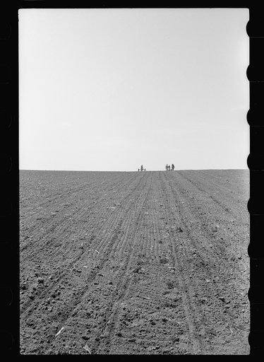 Harrowing land and planting corn, Jasper County, Iowa