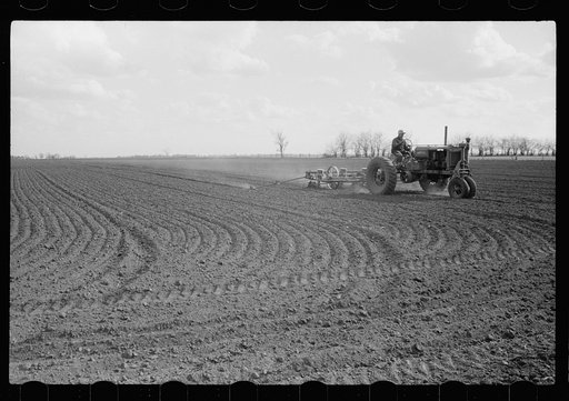 Planting corn with four-row tractor, Jasper County, Iowa
