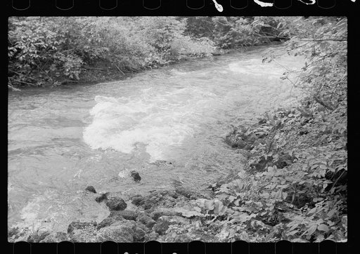 Untitled photo, possibly related to: Mountain spring, Missouri Ozark country