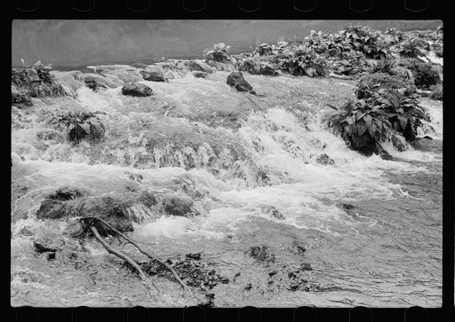 Untitled photo, possibly related to: Mountain spring, Missouri Ozark country
