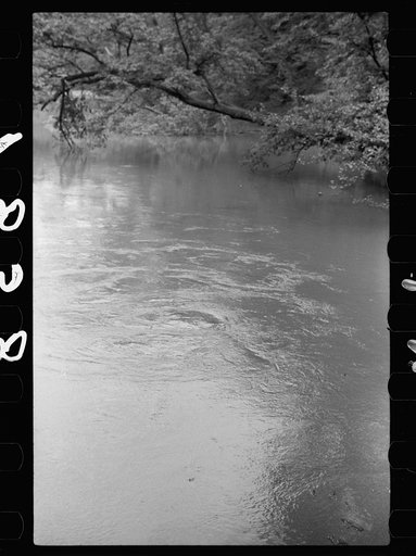 Untitled photo, possibly related to: Mountain spring, Missouri Ozark country
