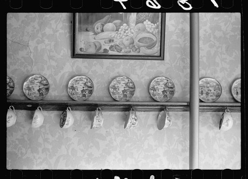 Plate rail in Salem, Missouri, home