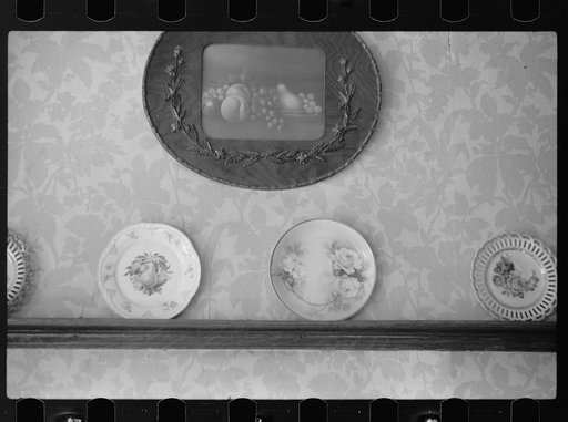 Plate rail in Salem, Missouri, home