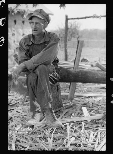 Untitled photo, possibly related to: FSA (Farm Security Administration) rehabilitation borrower, Grant County, Illinois