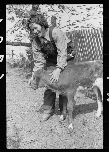 Untitled photo, possibly related to: FSA (Farm Security Administration) rehabilitation borrower with calf, Grant County, Illinois