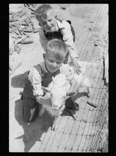 Untitled photo, possibly related to: Children of FSA (Farm Security Administration) tenant purchase borrower with pet goat, Crawford County, Illinois