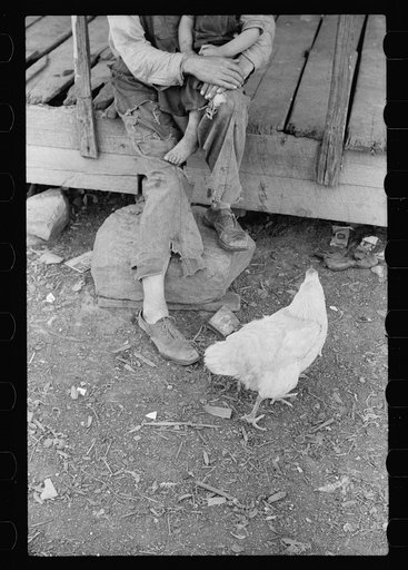 Untitled photo, possibly related to: Ozark farmer and family, Missouri