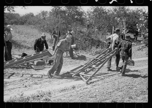 Cherry pickers, Door County, Wisconsin