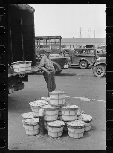 Untitled photo, possibly related to: Visitor at fruit market, Benton Harbor, Michigan
