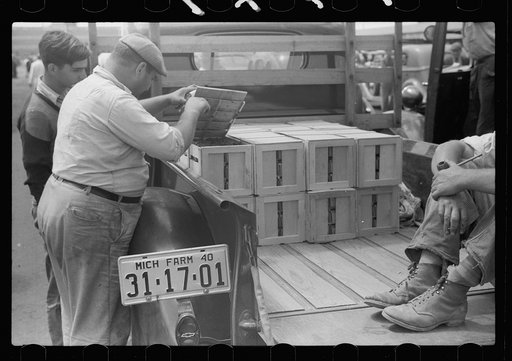 Untitled photo, possibly related to: Buyer examining cherries in fruit market, Benton Harbor, Michigan