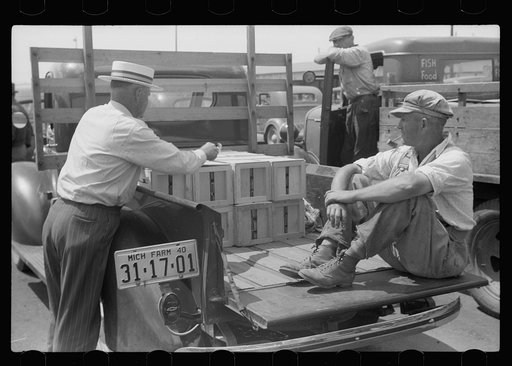 Buyer examining cherries in fruit market, Benton Harbor, Michigan