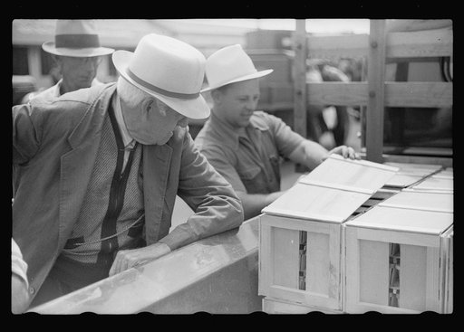 Untitled photo, possibly related to: Visitor at fruit market, Benton Harbor, Michigan