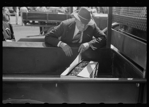 Untitled photo, possibly related to: Farmers at produce market, Benton Harbor, Michigan