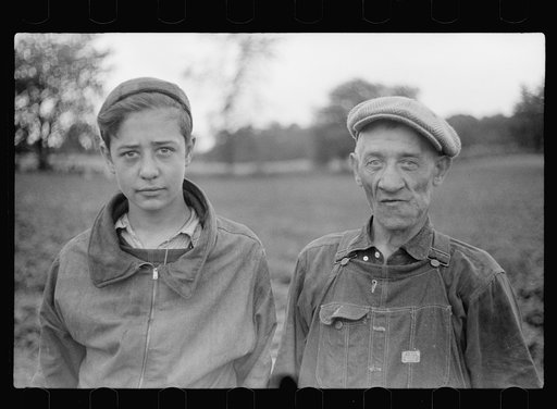 Father and son from Chicago picking strawberries in Berrien County, Michigan