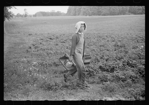 Migrant girl, strawberry picker, Berrien County, Mich.