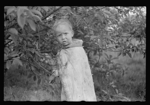 Child of migrant berry pickers, Berrien County, Mich.