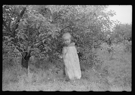 Untitled photo, possibly related to: Child of migrant berry pickers, Berrien County, Mich.