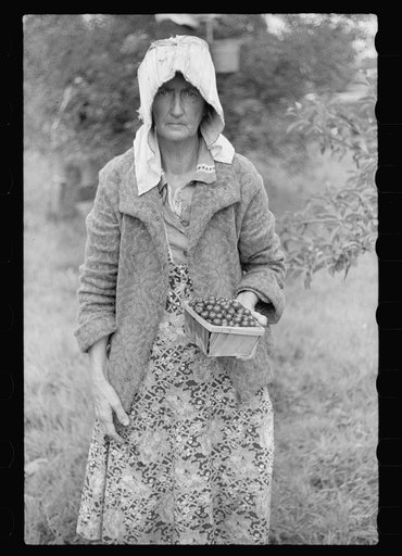 Migrant fruit worker from Arkansas, Berrien County, Michigan