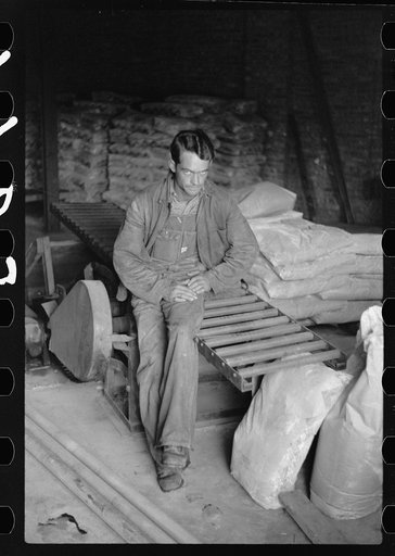 Migrant boy employed in fruit packing plant, Berrien County, Michigan