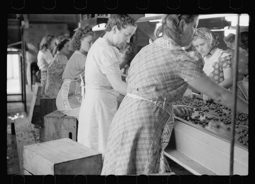 Untitled photo, possibly related to: Migrant girls working in cherry canning plant, Berrien County, Mich.