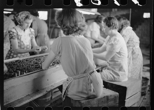 Untitled photo, possibly related to: Migrant girls working in cherry canning plant, Berrien County, Mich.