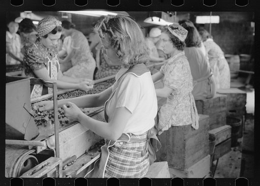 Untitled photo, possibly related to: Migrant girls working in cherry canning plant, Berrien County, Mich.