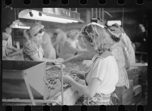 Untitled photo, possibly related to: Migrant girls working in cherry canning plant, Berrien County, Mich.