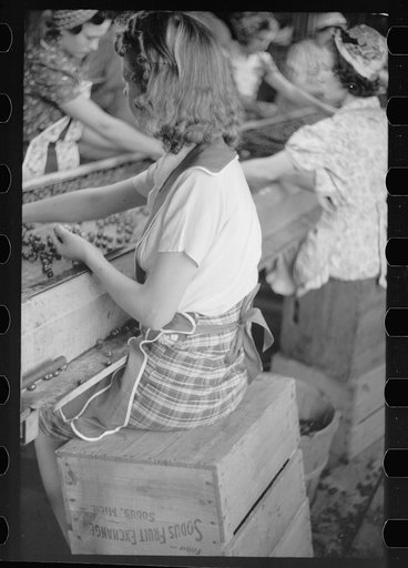 Untitled photo, possibly related to: Migrant girls working in cherry canning plant, Berrien County, Mich.