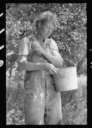 Migrant cherry picker, Berrien County, Michigan