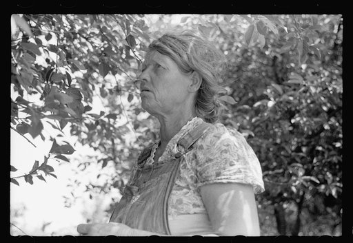Untitled photo, possibly related to: Migrant cherry picker, Berrien County, Michigan