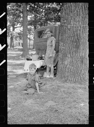Untitled photo, possibly related to: Migrant cherry picker, Berrien County, Michigan